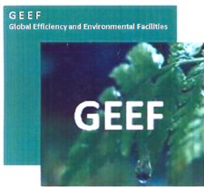 Imagen de GEEF GLOBAL EFFICIENCY AND ENVIRONMENTAL FACILITIES