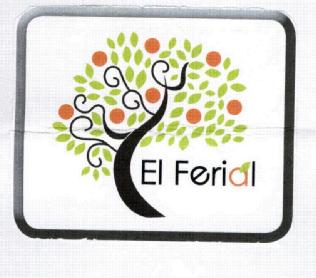 Imagen de EL FERIAL
