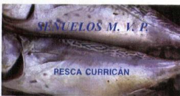 Imagen de SEÑUELOS M.V.P. PESCA CURRICAN