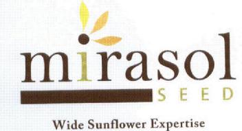 Imagen de MIRASOL SEED WIDE SUNFLOWER EXPERTISE