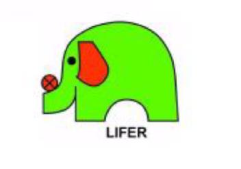 Imagen de LIFER