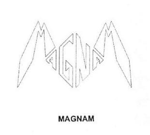 Imagen de MAGNAM