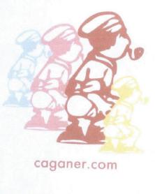Imagen de CAGANER.COM