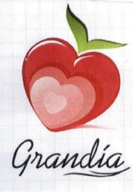 Imagen de GRANDIA