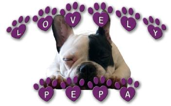 Imagen de LOVELY PEPA
