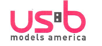 Imagen de USB MODELS AMERICA