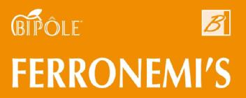 Imagen de BIPOLE FERRONEMI\'S
