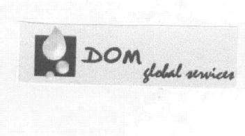 Imagen de DOM GLOBAL SERVICES