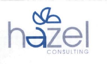 Imagen de HAZEL CONSULTING