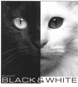 Imagen de BLUE BAY BLACK&WHITE