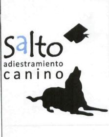 Imagen de SALTO ADIESTRAMIENTO CANINO