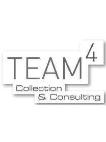 Imagen de TEAM 4 COLLECTION & CONSULTING