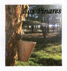 Imagen de LOS PINARES