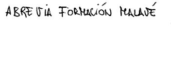 Imagen de ABREVIA FORMACION MALAVE