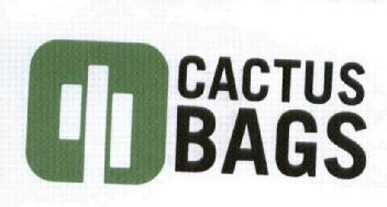Imagen de CACTUS BAGS