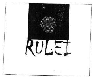 Imagen de RULEI