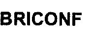 Imagen de BRICONF