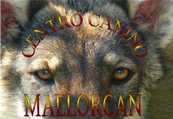 Imagen de CENTRO CANINO MALLORCAN