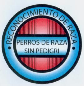 Imagen de RECONOCIMIENTO DE RAZA PERROS DE RAZA SIN PEDIGRI