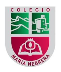 Imagen de COLEGIO MARIA NEBRERA