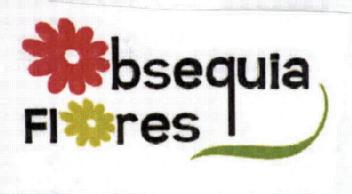 Imagen de OBSEQUIA FLORES