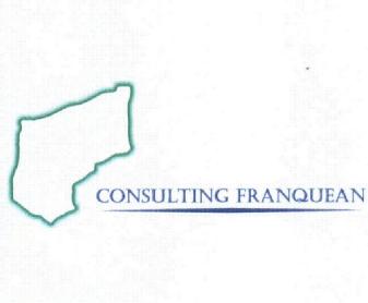 Imagen de CONSULTING FRANQUEAN