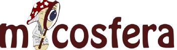 Imagen de MICOSFERA