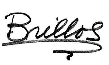 Imagen de BRILLOS