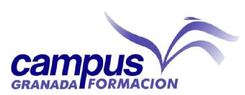 Imagen de CAMPUS FORMACION GRANADA