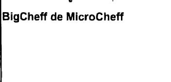 Imagen de BIGCHEFF DE MICROCHEFF
