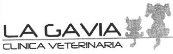 Imagen de LA GAVIA CLINICA VETERINARIA