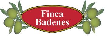 Imagen de FINCA BADENES