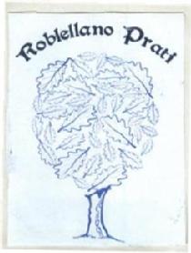 Imagen de ROBLELLANO PRATI