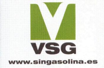 Imagen de VSG WWW.SINGASOLINA.ES