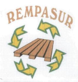 Imagen de REMPASUR