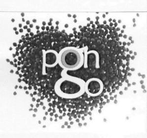 Imagen de PONGO