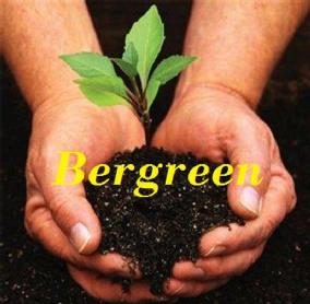 Imagen de BERGREEN