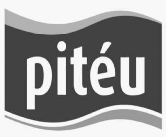 Imagen de PITEU