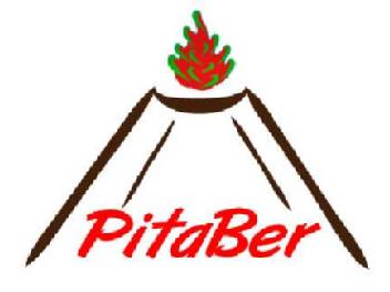 Imagen de PITABER