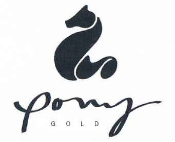 Imagen de PONY GOLD