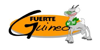 Imagen de FUERTEGUINEO
