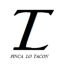 Imagen de FINCA LO TACON