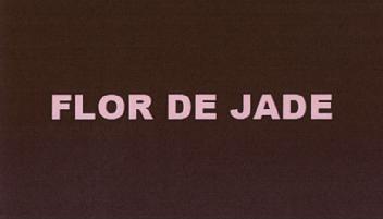 Imagen de FLOR DE JADE