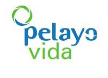 Imagen de PELAYO VIDA