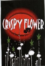 Imagen de CRISPY FLOWER