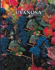 Imagen de UVANOSA