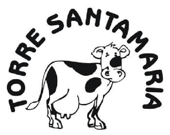 Imagen de TORRE SANTAMARIA