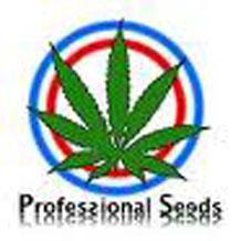 Imagen de PROFESSIONAL SEEDS