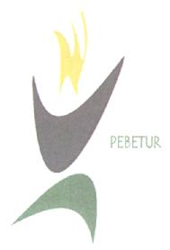 Imagen de PEBETUR
