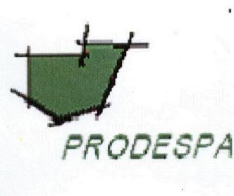 Imagen de PRODESPA